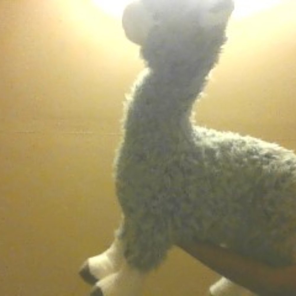 Lama plush